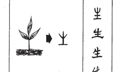 炒鸡内金的功效与作用及禁忌-中药炒鸡内金的功效与作用专区_炒麦芽的功效与作用专区_炒鸡内金的功效与作用网